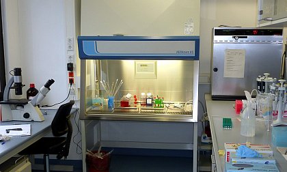 View into the Cell Culture Lab
