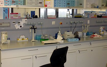 Blick in das Labor fr Molekularbiologie
