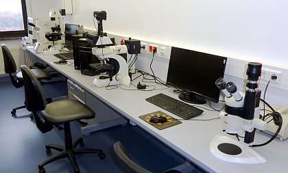 Blick in das Mikroskopie-Labor