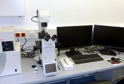 Fluoreszenz-Mikroskop