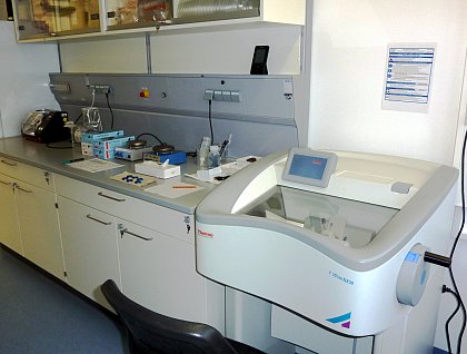 Cryo-Microtome and Fixation